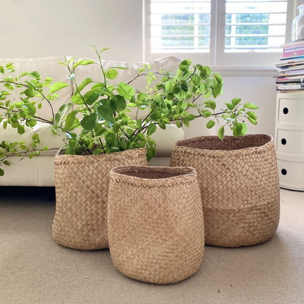 Artisan Woven Basket Suppliers Thailand