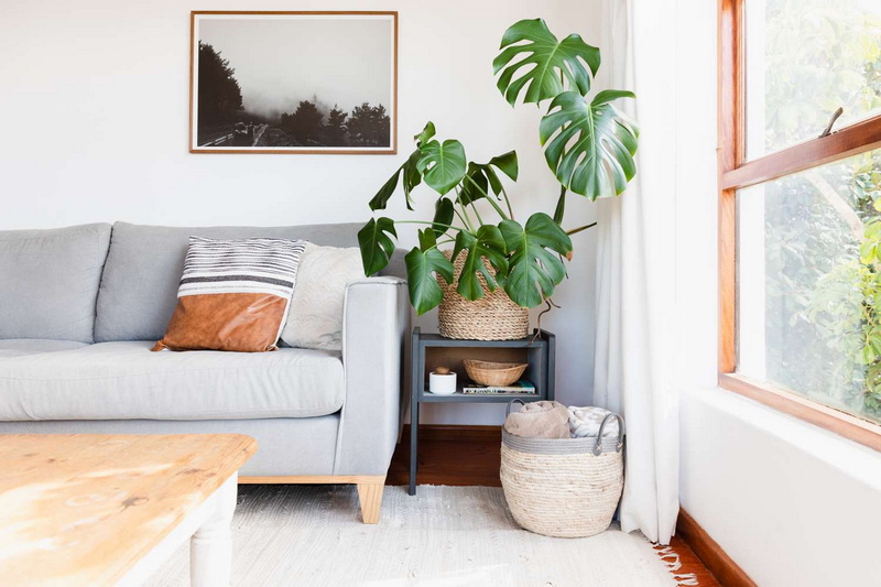 Why Is Sherwin Williams Rattan Basket The Perfect Color for Your Home Decor?