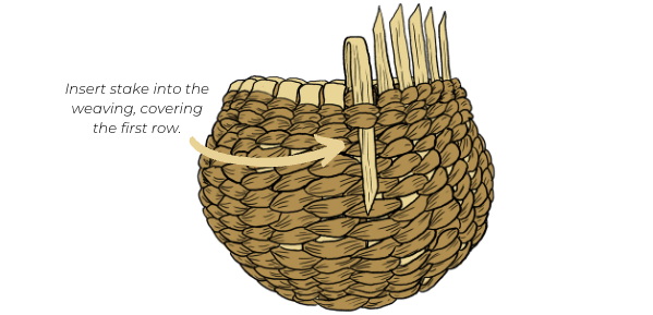 How To Weave A Cedar Basket?