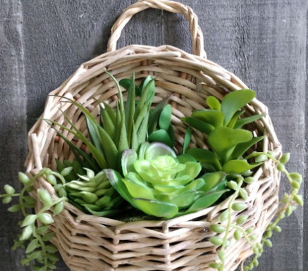 How To Plant Succulents in A Wicker Basket? - HNL