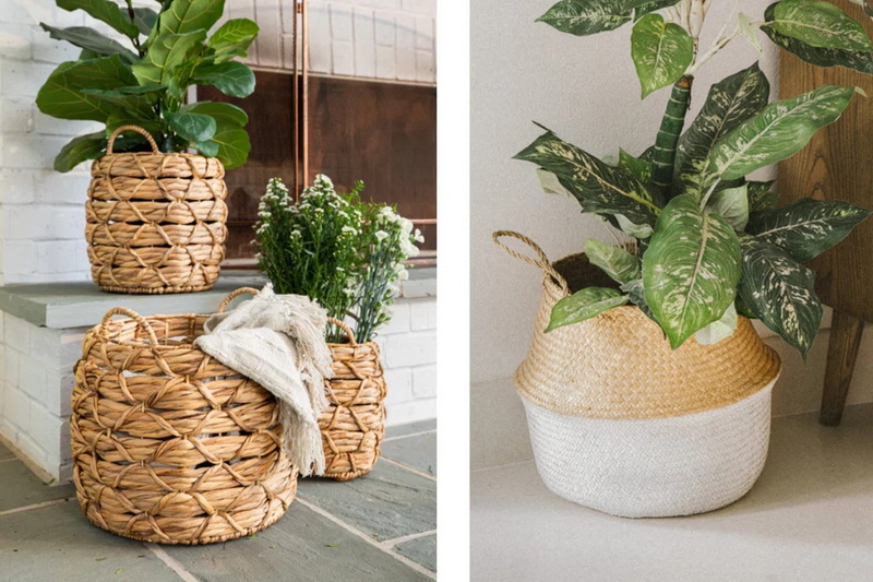 Is It Good To Plant Plants in Wicker Baskets?