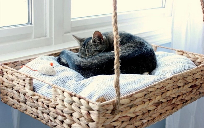 Best Woven Cat Beds for Cozy Cats in 2025
