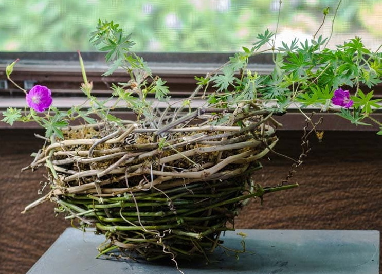grapevine basket