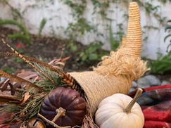 Cornucopia Basket_1.jpg