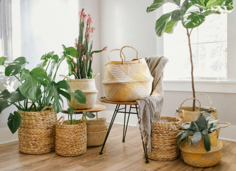 How To Style Your Plants with A Rattan Plant Basket?