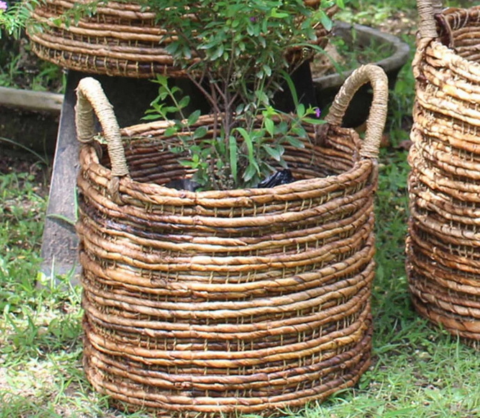 Get Mould Off Wicker Baskets_1