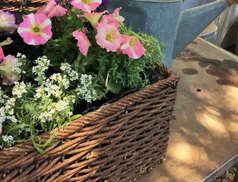 Wicker Basket As A Flower Pot.jpg