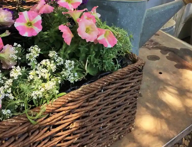 Can You Use Wicker Basket As A Flower Pot?