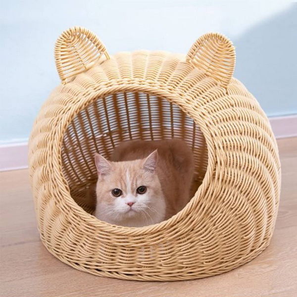 Sustainable Cat Bed Choices