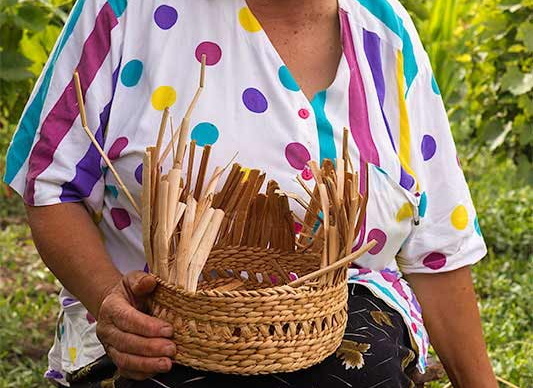 How To Weave A Basket Out of Cattails?