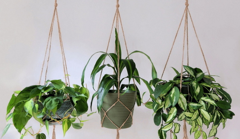 How To Weave A Plant Basket?