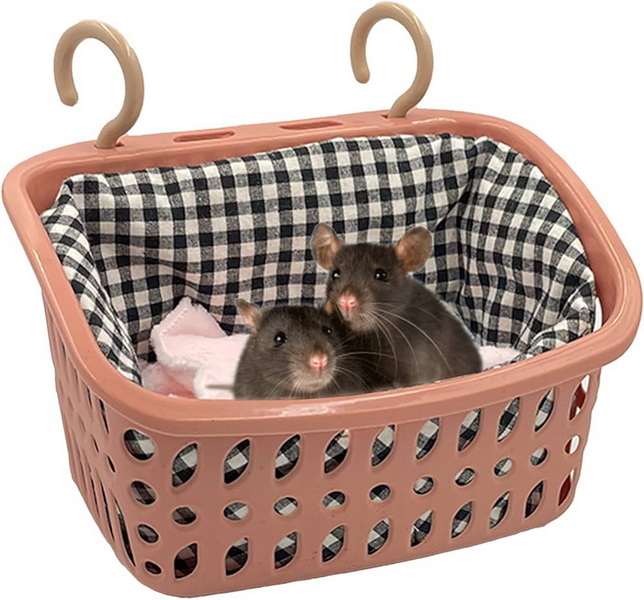 Put A Wicker Basket in A Rats Cage_1