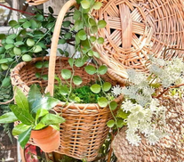 Put A Wicker Basket in Shedd for Strage_2.jpg