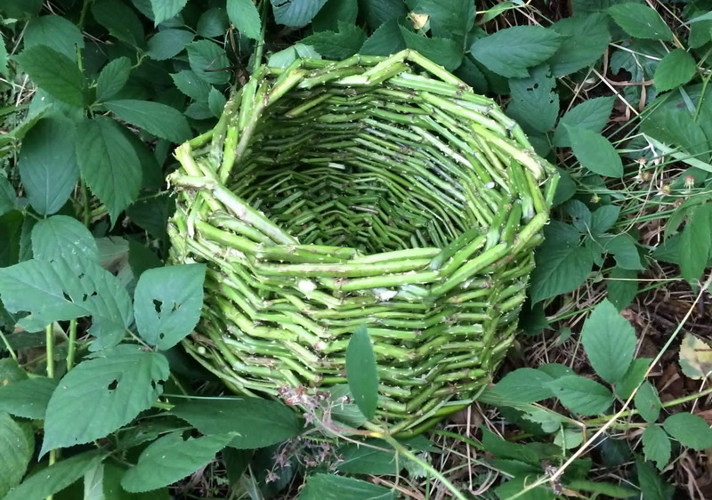 Green Basket