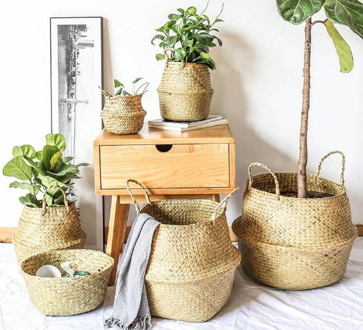 Wicker Basket As Planter_2