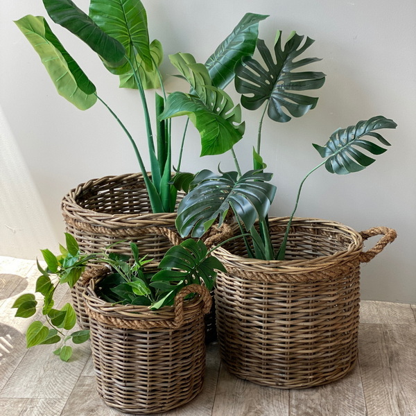 Put Plant in Wicker Basket