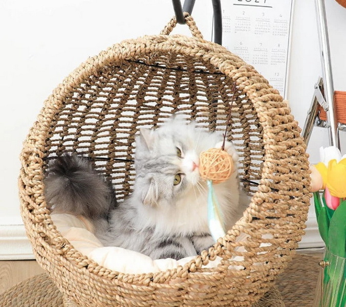 How To Get Cat Pee Out of Wicker Basket-_3