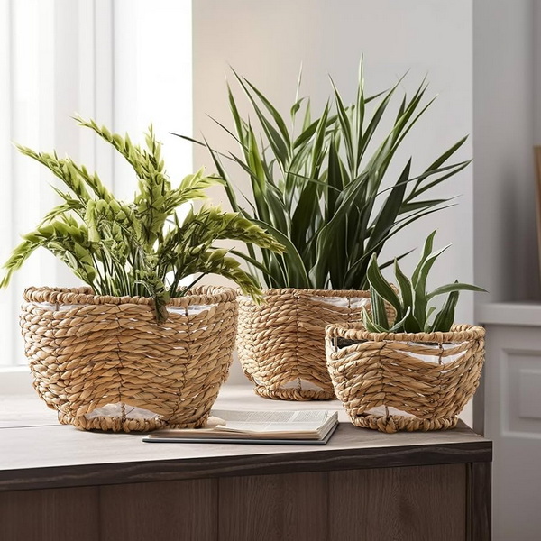 seagrass basket plant_2