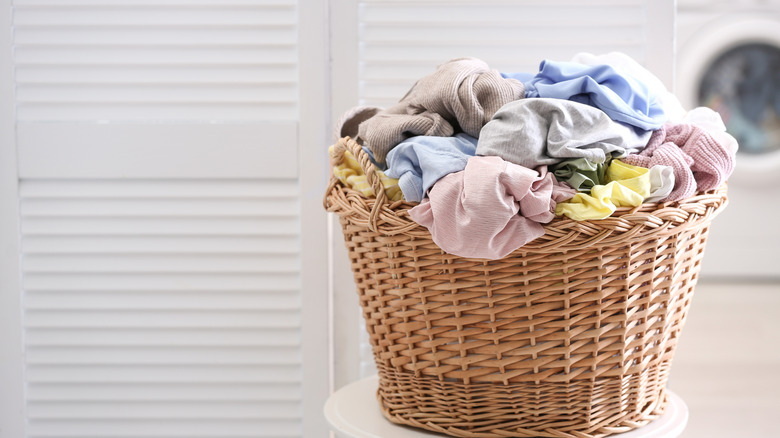 Do Wicker Baskets Attract Roaches?