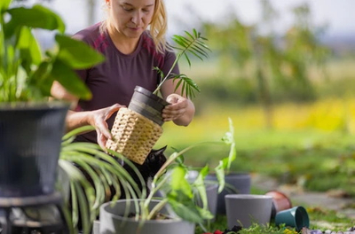Can A Handmade Woven Basket Plant Holder Be Used Indoors And Outdoors.jpg