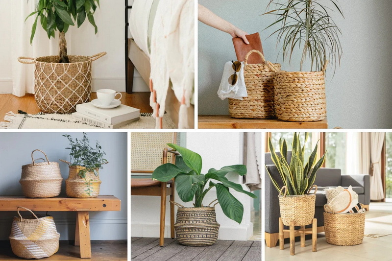 Rattan Woven Vase vs Seagrass Woven Vase Pros and Cons Compared