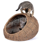 Natürliche gewebte Katzenbetten gegen Plastik Nachahmung Was ist der Unterschied.jpg