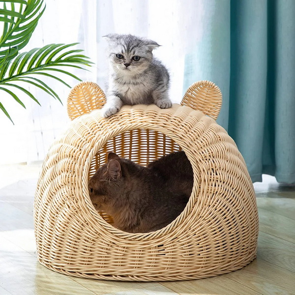 Best Natural Material Woven Cat Beds for Eco-Friendly Pet Owners