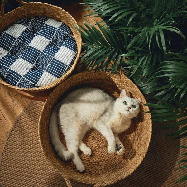 Eco-Friendly Cat Bed Designs