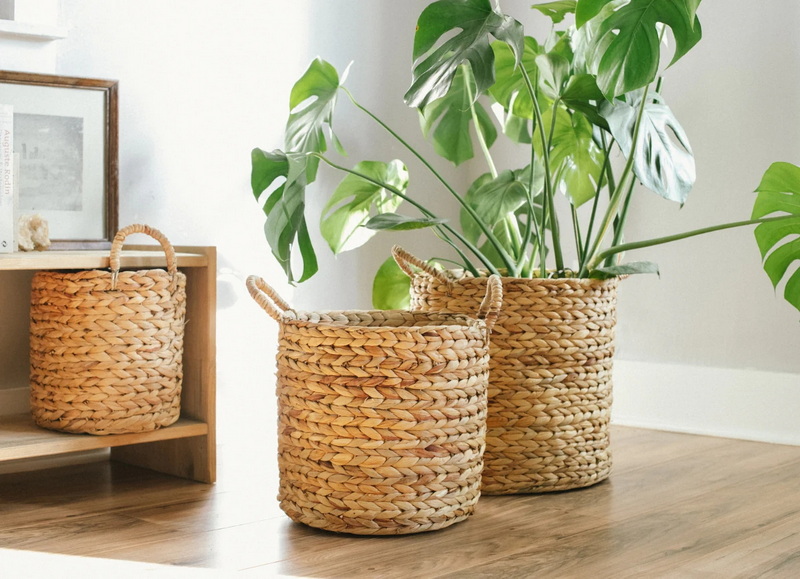 How To Plant in Wicker Baskets?