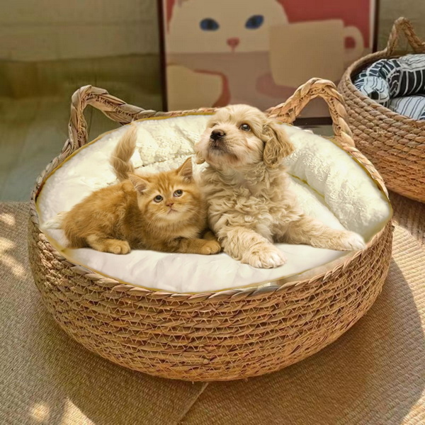 Biodegradable Cat Beds for Pets