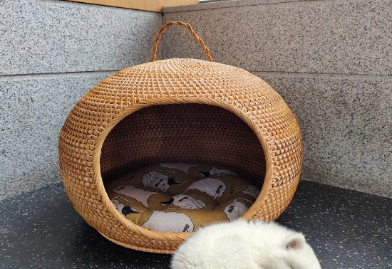 Top 10 Woven Cat Bed Designs Loved by Cats Worldwide