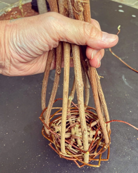 Weave A Basket with Vines_1