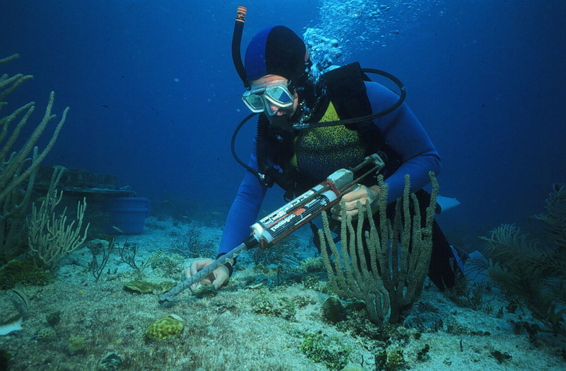 Underwater Basket Weave_2