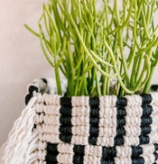 Macrame Knot That Resembles a Basket Weave_1.jpg