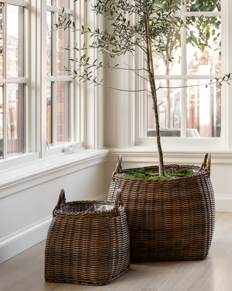 Put Plant in Wicker Basket 