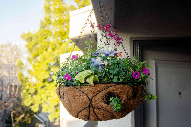 Hanging Basket_2