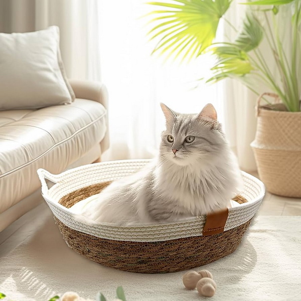 Bamboo Vs. Rattan Woven Cat Beds: Pros And Cons Explained
