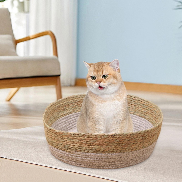 Comfortable Cat Beds