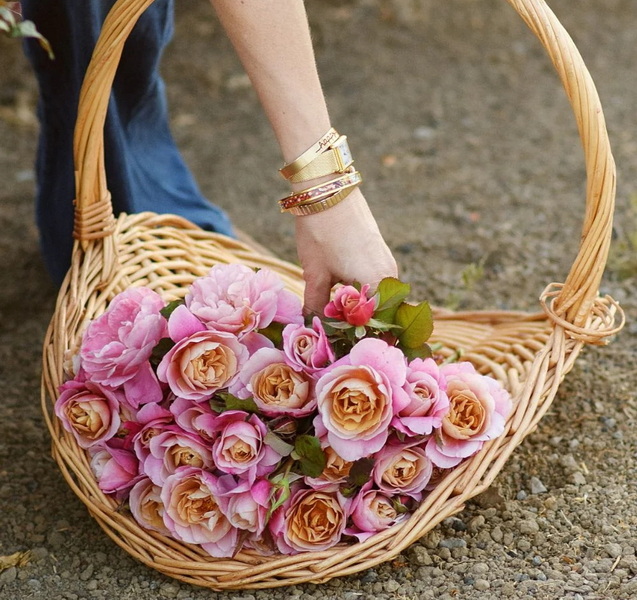 Rattan Basket Manufacturers Near Me Belgium