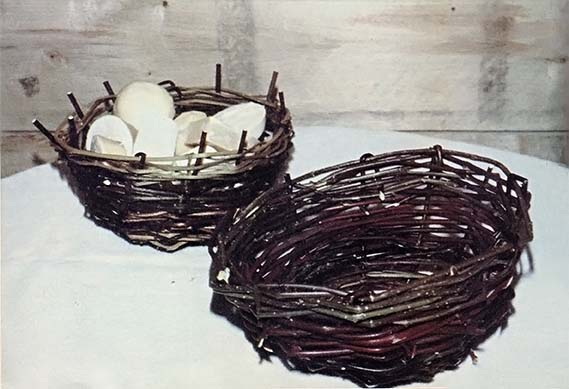 How To Weave A Basket Our of Young Branches?