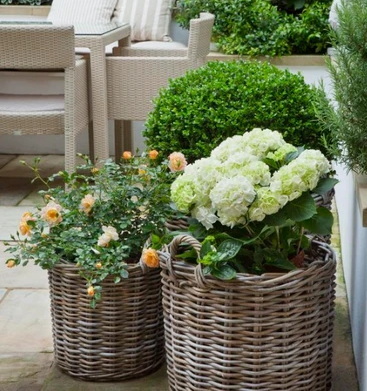 Use Wicker Baskets As Planters
