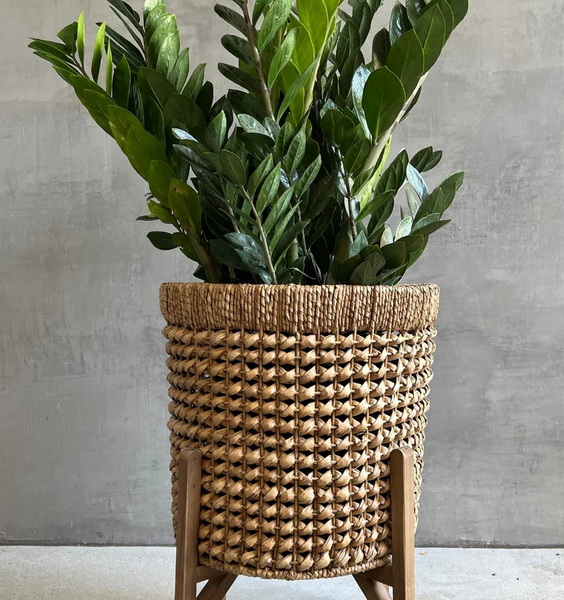 You Use Wicker Baskets As Planters_2