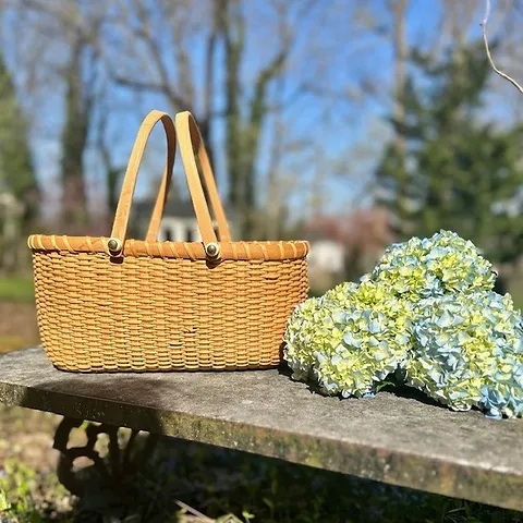 are bed bugs attracted to wicker baskets_3
