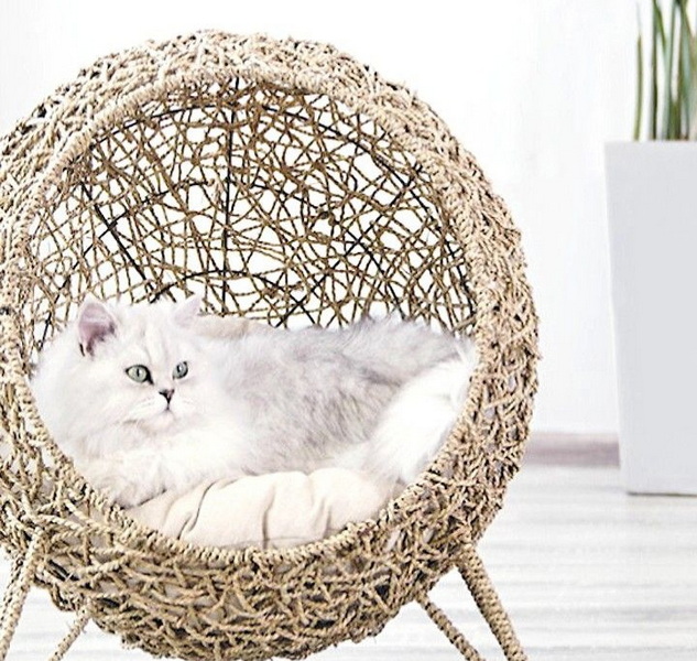 How To Get Cat Pee Out of Wicker Basket-_2