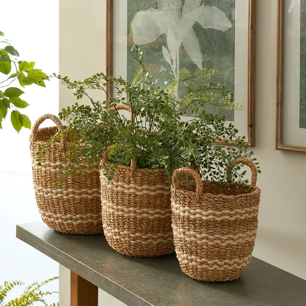 Can You Plant in A Wicker Basket?