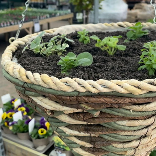 Hang Wicker Baskets_1