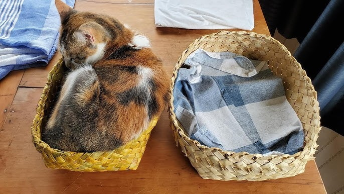 Cat Basket_2
