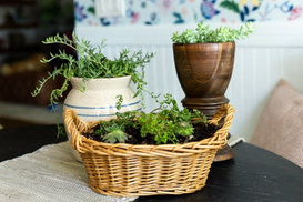 Use Wicker Baskets As Planters (2).jpg