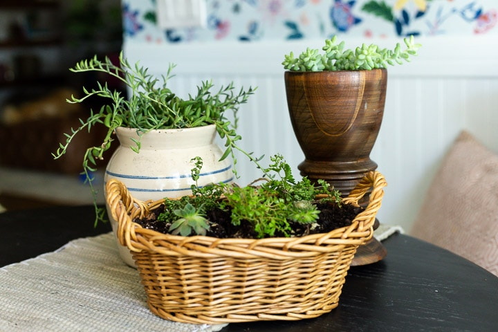 How To Use Wicker Baskets As Planters?