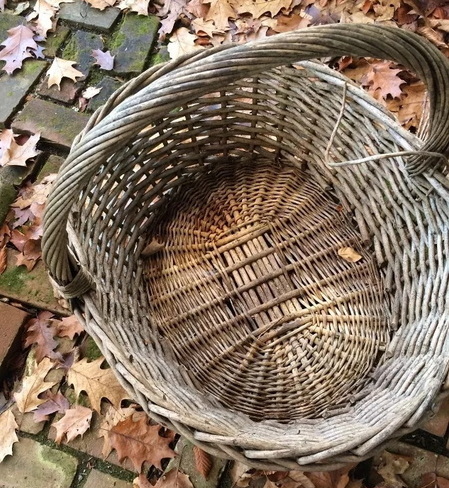 How To Get Mold Off Wicker Basket?